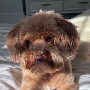 Meet your Posher, Mandy